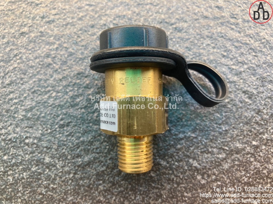 Fisher H110-250 Relief Valve(1)